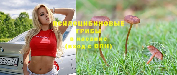 PSILOCYBIN Каменск-Шахтинский