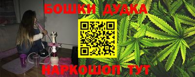 гашик Дубна