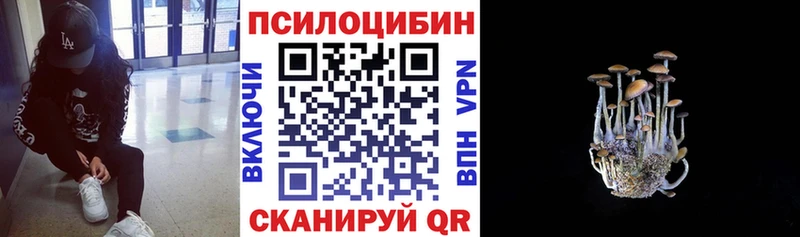кракен вход  Мценск  Галлюциногенные грибы мухоморы 