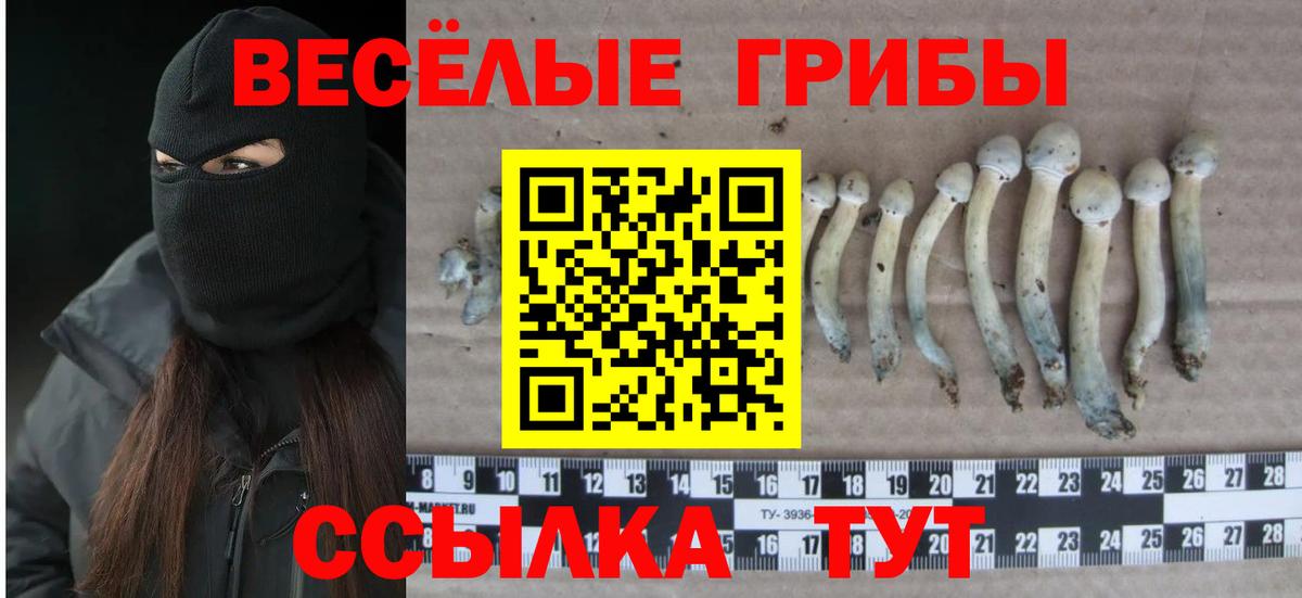 Псилоцибиновые грибы Magic Shrooms Мценск