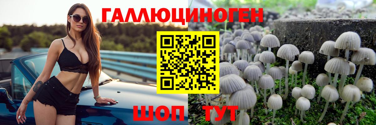 Галлюциногенные грибы Cubensis  Псилоцибиновые грибы Magic Shrooms  Вход с VPN  Мценск 